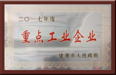 2017 Key Industrial Enterprise